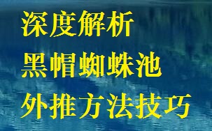 黑帽SEO技能:深度解析黑帽蜘蛛池的外推办法与技巧