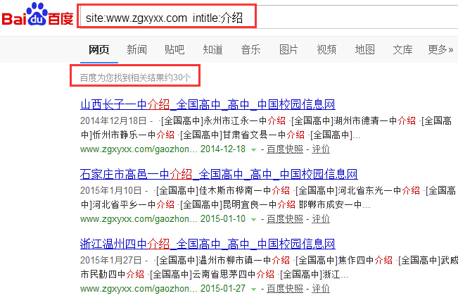 SEO常用指令的组合运用让你收获奇效 